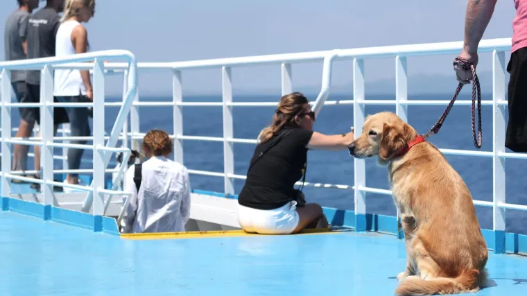 U dva dana kroz kroz zračnu i trajektnu luku pro&scaron;lo čak 108.000 putnika