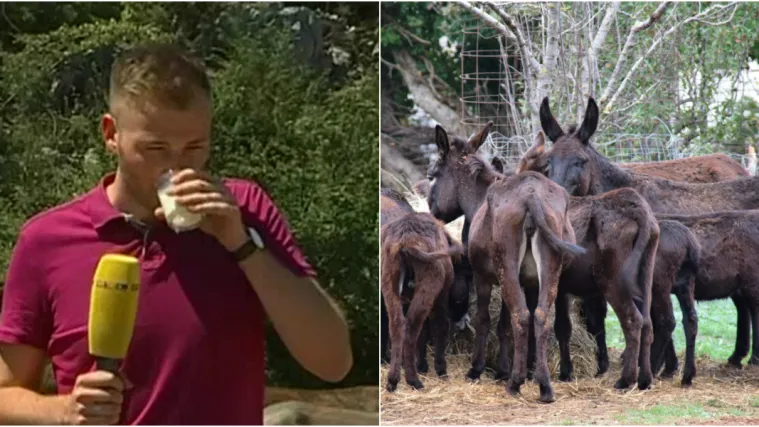 Na&scaron; reporter odvažio se ku&scaron;ati magareće mlijeko: 'Iskreno, sva&scaron;ta mi se mota po glavi'