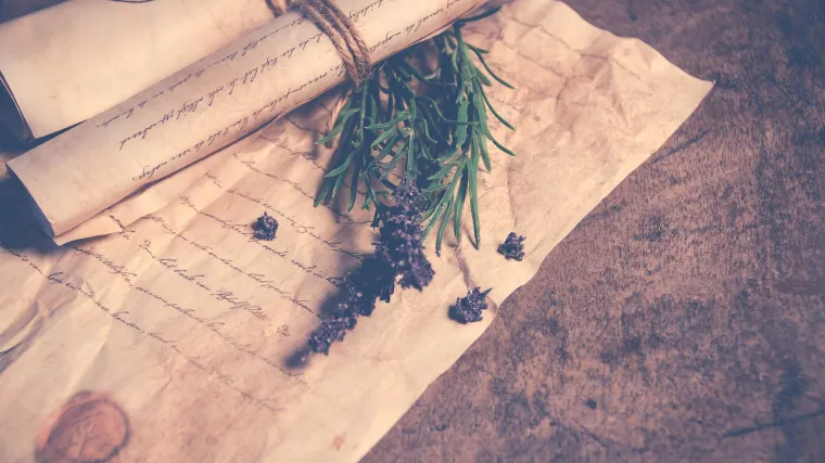 Što je to Poljički statut?