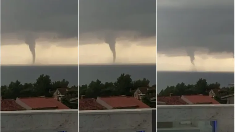 Pogledajte strahovitu pijavicu