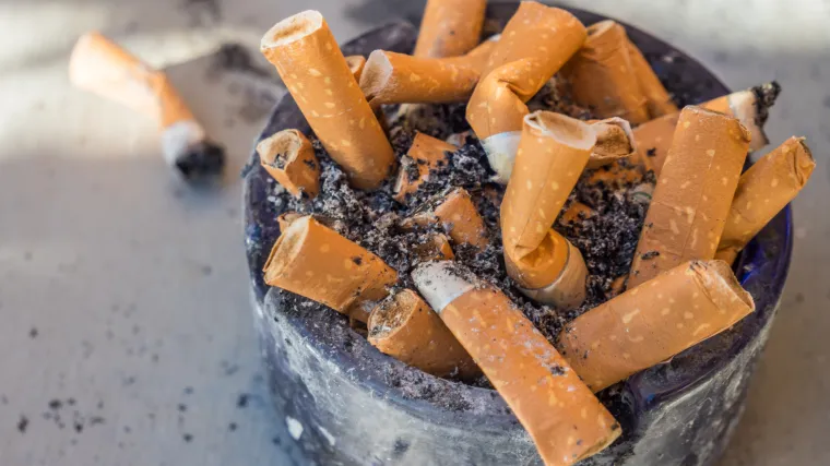 Donesite ča&scaron;u punu opu&scaron;aka i zauzvrat uzmite pivo ili sok: Inicijativa ovog grada hit je među turistima