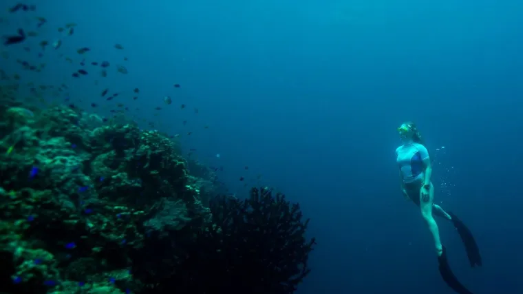 'Vaše vlasti lažu i štite mladića, a ja to mogu dokazati'