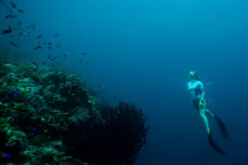 'Vaše vlasti lažu i štite mladića, a ja to mogu dokazati'