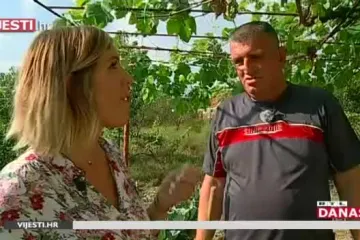 Jedan dan s Mirom Buljem: U Saboru je najglasniji, a na godišnjem se brine za svoje cherry rajčice