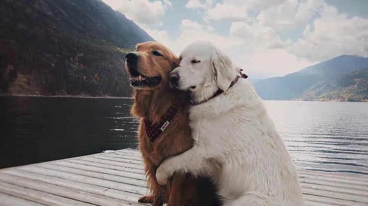 Fotografije koje će vam sigurno uljep&scaron;ati ovaj ljetni dan i izmamiti osmijeh na licu