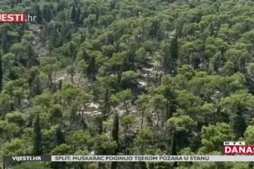 Devastacija Marjana: 'Radovi sječe zaraženih stabala krenut će već u listopadu'