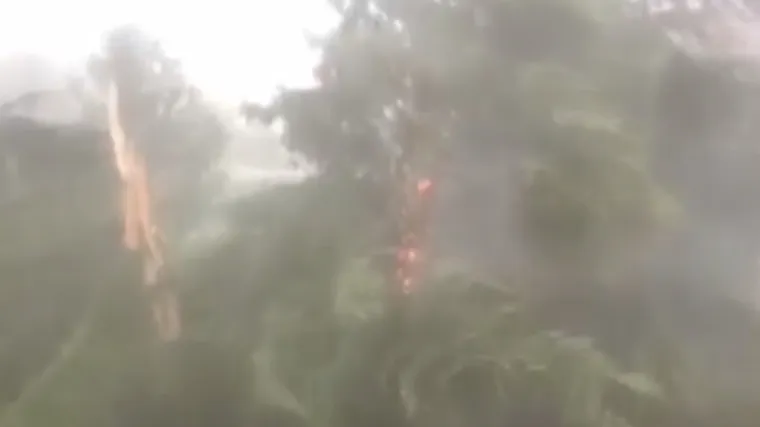 Silovita moć prirode: Munja u Istri zapalila jedno stablo, a prepolovila drugo