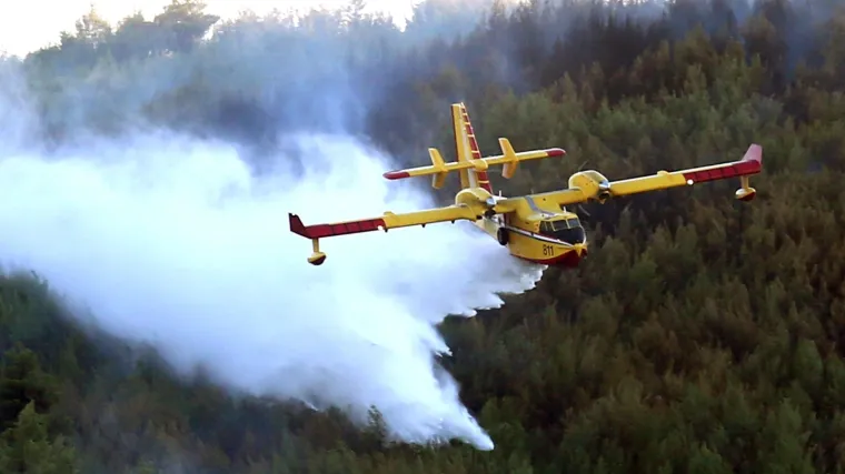 Izgorjela borova &scaron;uma, vatrogasci su cijelu noć bili na terenu