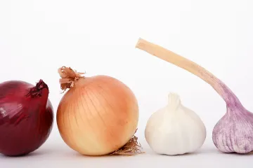 Uzgoj crvenog luka: Kako uspješno uzgojiti crveni luk?