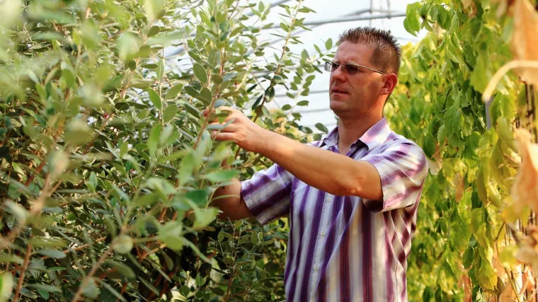 'Rugali su mi se, ali ja sada kilogram svog proizvoda prodajem po 60 kuna'