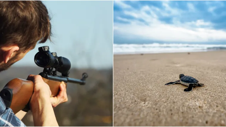 Prirodna katastrofa nam se dogodila pred očima: 'Rezultati su alarmantni i potvrđuju strahove'