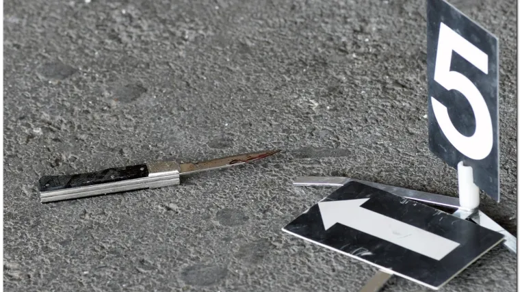 Poku&scaron;aj ubojstva kod Požege: Uhićen mladić (19) koji je nožem napao majku i te&scaron;ko ju ozlijedio