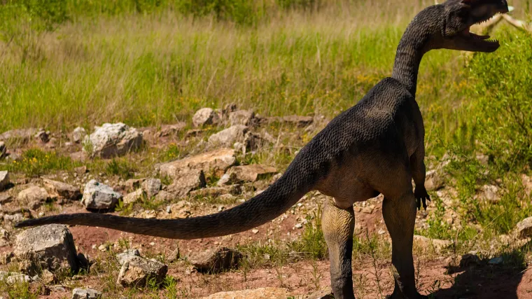 Kako su podijeljene vrste dinosaura i koje su vrste dinosaura biljojeda?