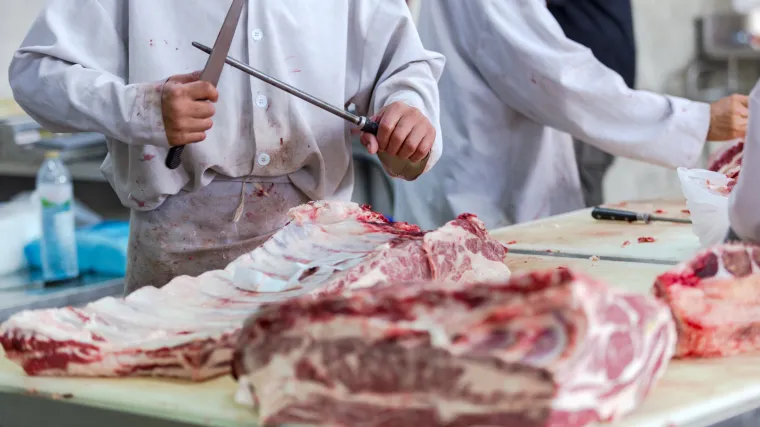 Mesari iz Nepala stigli na rad u Hrvatsku: 'Rad ovdje nije težak, ali u jednoj stvari je velika razlika'