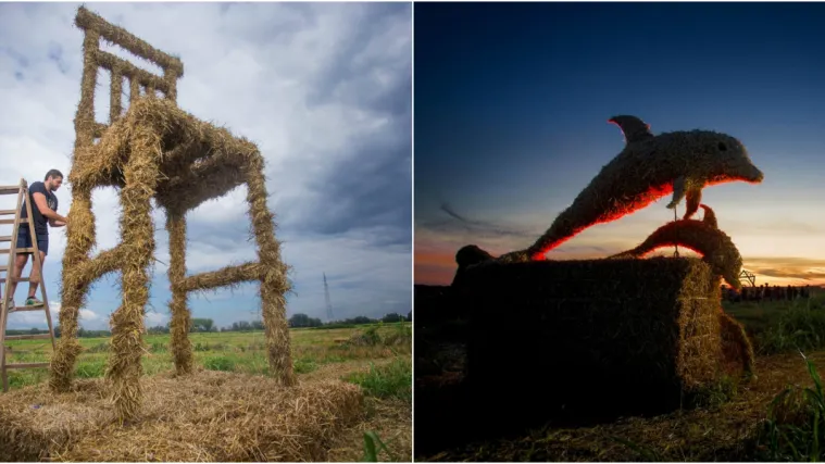 Slavonska žitna polja postala umjetnička galerija! Ovako ne&scaron;to ne viđa se često