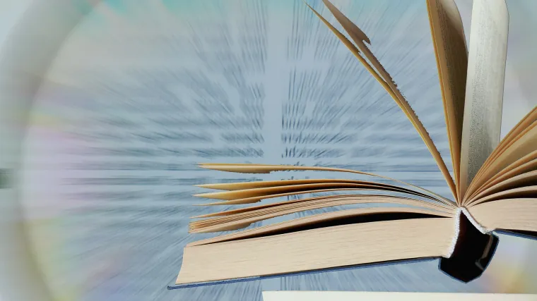 Koje su vrste ROM memorije?