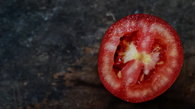 &Scaron;to znači pravilo trećina u fotografiji?