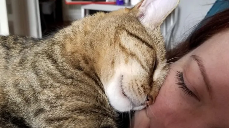 Ljubimci bezgranično vole svoje ljude, a to dokazuju i ove fotografije