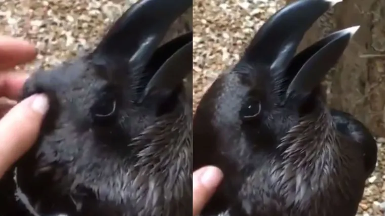 Nitko ne zna &scaron;to se nalazi na fotografiji. Možete li vi otkriti?