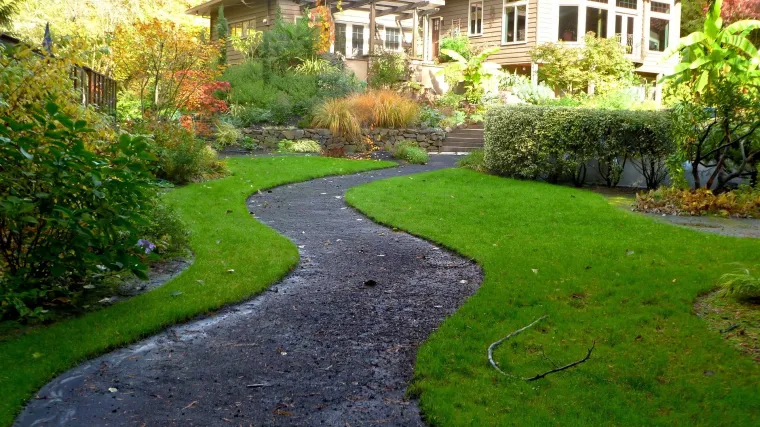 Znate li kako održavati travnjak bez korova?