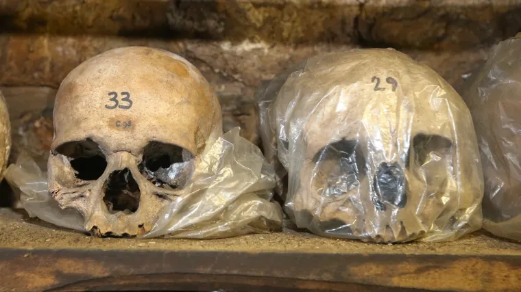 Na&scaron;li lubanju s intrigantnom mje&scaron;avinom ljudskih i majmunskih obilježja