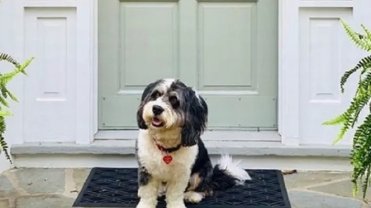 Internet se opet ne može dogovoriti - jesu li vrata siva, plava ili zelena?