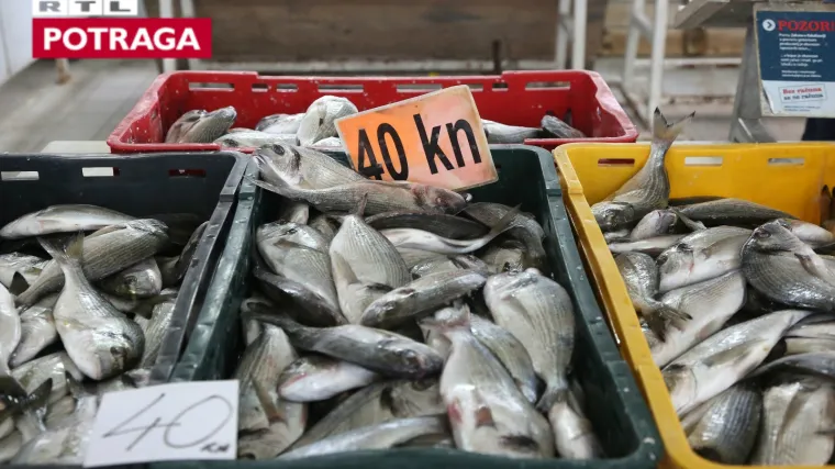 Za&scaron;to u restoranima nema ribe iz Jadrana? Birokracija ugostitelje potiče da kupuju smrznuto i strano