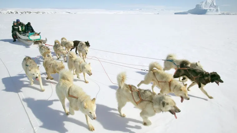 Snježno &scaron;umske i polarne klime: Kakve temperature karakteriziraju ova područja?