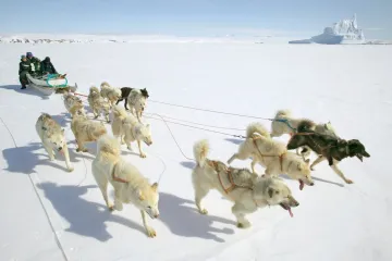 Polarni krajevi: Kakvi su uvjeti na najhladnijim područjima na Zemlji?