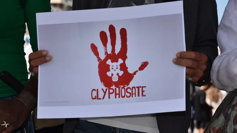 Njemačka zabranjuje kancerogeni herbicid koji je poguban za insekte