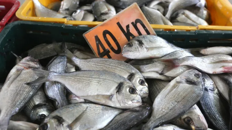 Hama, zubatac, orada? Doznajemo jedemo li domaće i koliko hrvatskoj ribi treba da dođe do potro&scaron;ača