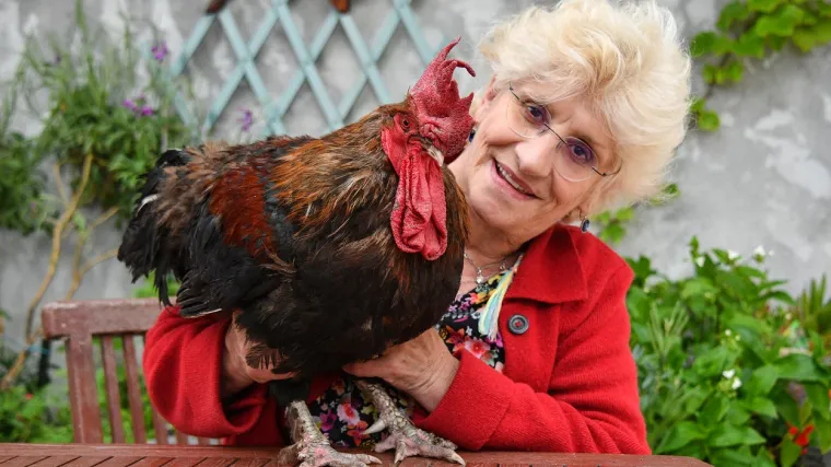 Tužili ga susjedi kojima je smetalo njegovo jutarnje 'pjevanje'