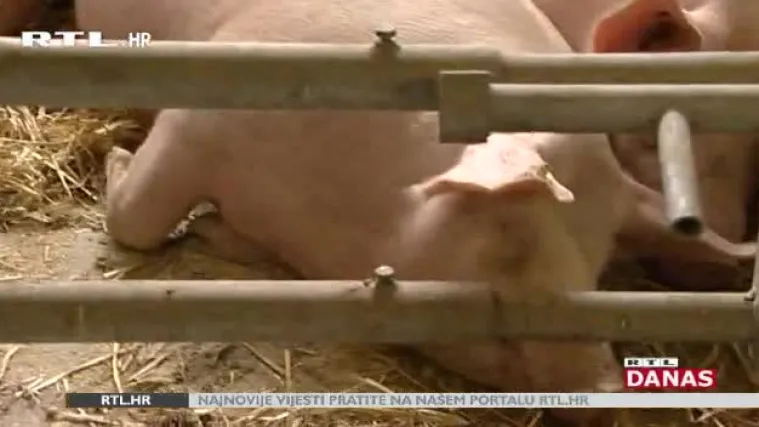 Političari posjetili poznati Jesenski međunarodni poljoprivredni sajam: Seljaci im poslali poruku