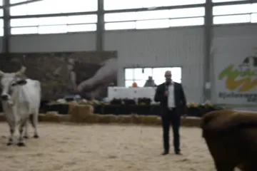 Izvorne pasmine goveda na sajmu u Gudovcu