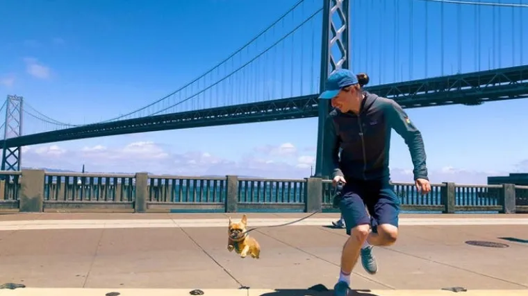 HTJELI OBIČNU FOTKU, DOBILI REMEK-DJELO: Ne, ove kadrove nitko živ nije mogao isplanirati