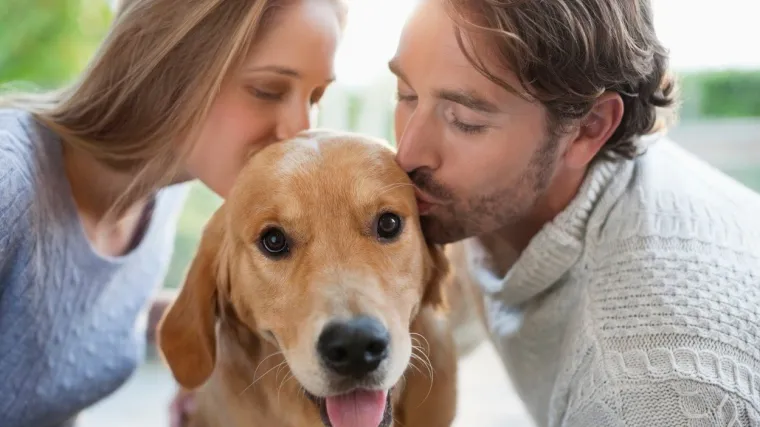 Grad u kojem ima vi&scaron;e pasa nego djece uvodi porez na četverono&scaron;ce