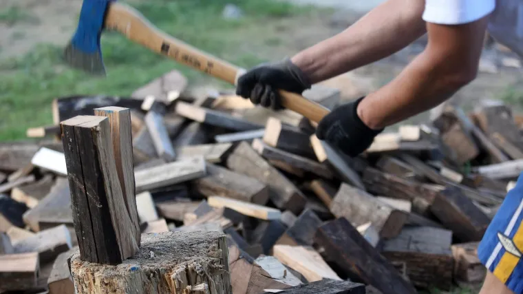 Učiteljica osuđena jer je iz svojega zaraslog vinograda uzela drva za ogrjev!