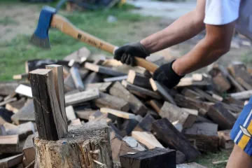 Učiteljica osuđena jer je iz svojega zaraslog vinograda uzela drva za ogrjev!