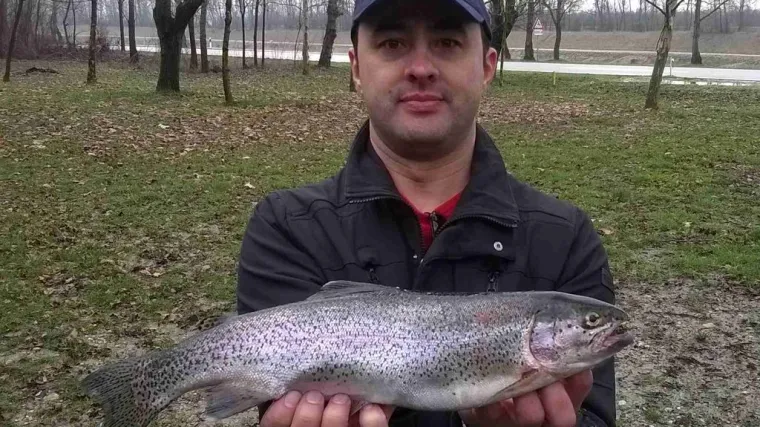 Koja je najbolja hrana za pastrve