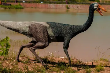 Znate li koje su vrste bili vodeni dinosauri ?