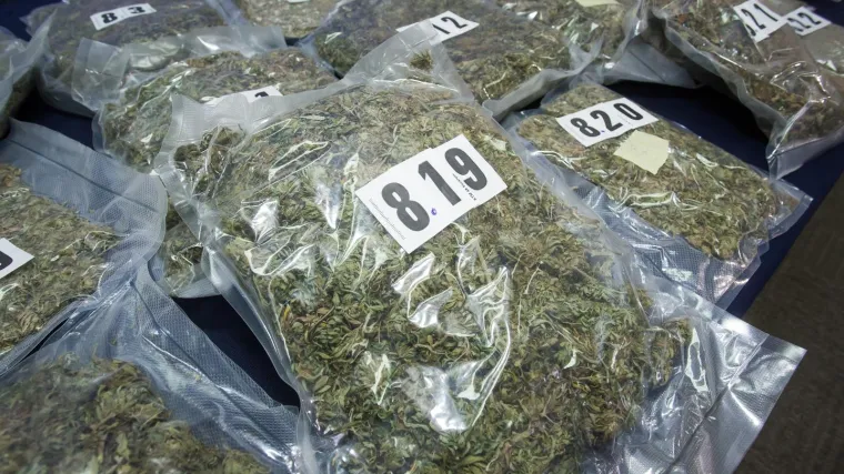 Srbijanska policija zaplijenila tonu i pol marihuane: Droga skrivena u stočnoj hrani