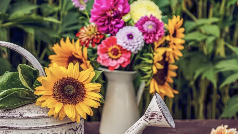 Znate li &scaron;to je hortikulturno ulje?