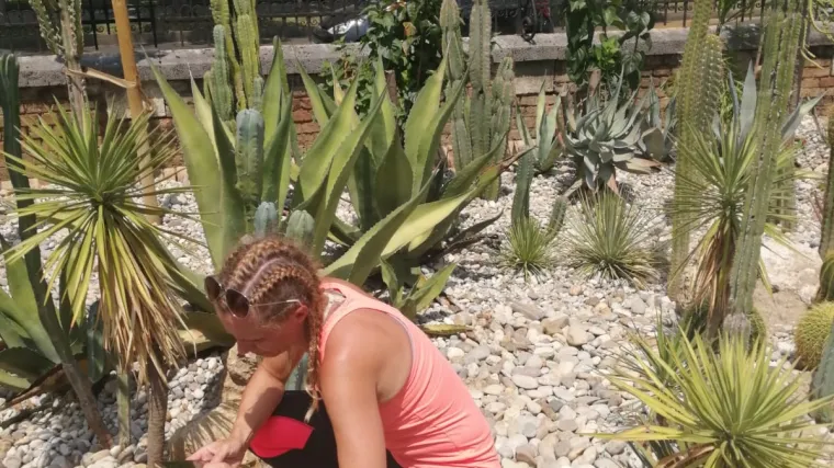 Značenje hortikulture i što hortikultura obuhvaća?