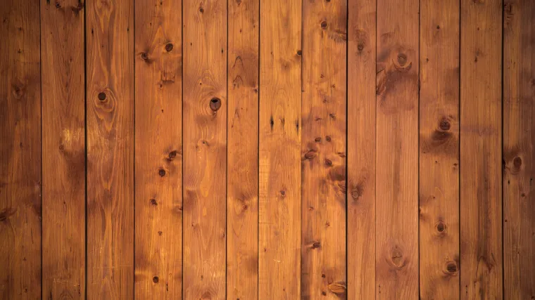 Kukci koji jedu drvo: Kako ih prepoznati i spriječiti?