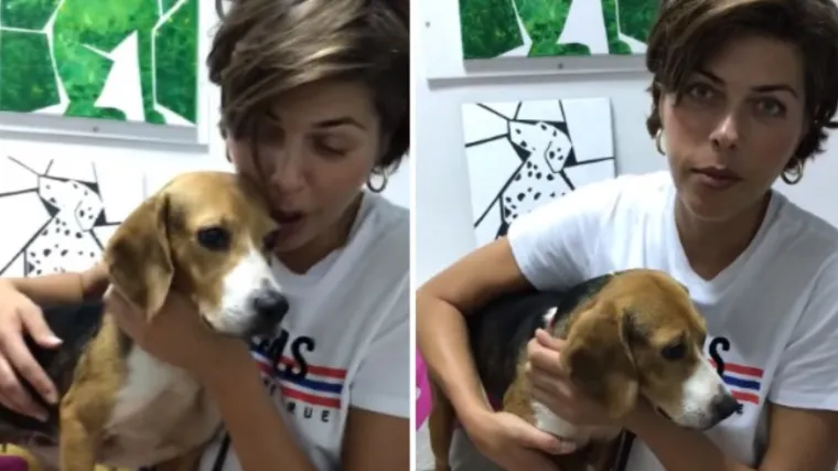 'Ljubav na prvi pogled, povezanost'