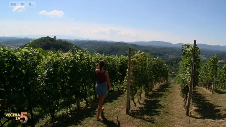 Kada i kako se radi prihrana vinograda?