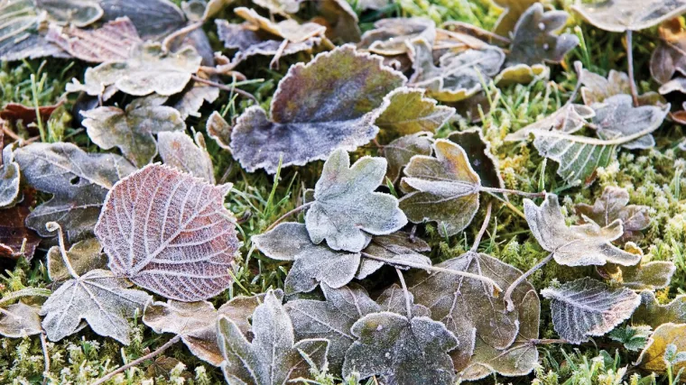 Početkom tjedna stiže neočekivana promjena