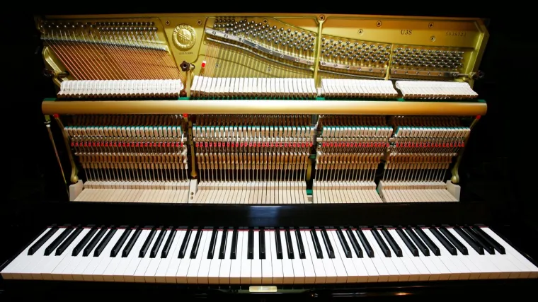 Klasična glazba skladatelji: Tri najpoznatija skladatelja klasicizma