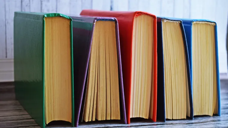 Znate li koje sve vrste fabule postoje?