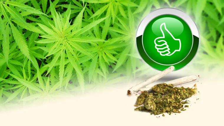 Presedan iz Bruxellesa! Odobreno kori&scaron;tenje medicinskog kanabisa za liječenje dvije bolesti